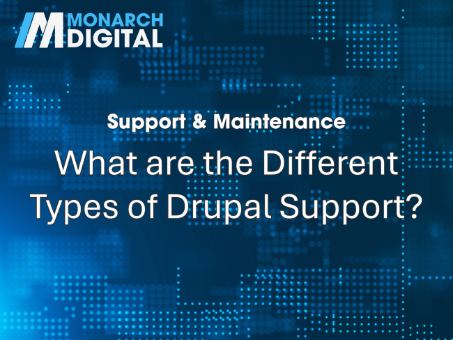 What are the Different Types of Drupal Support?